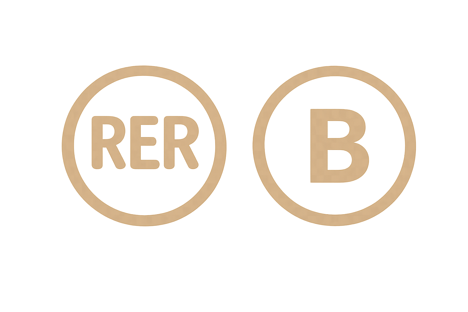 RER B